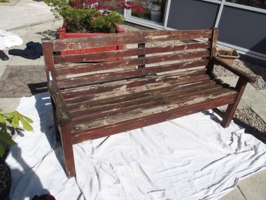 Bench before