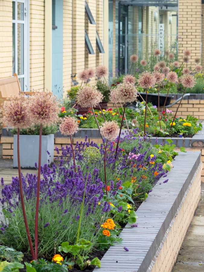Raised beds at front of hospice