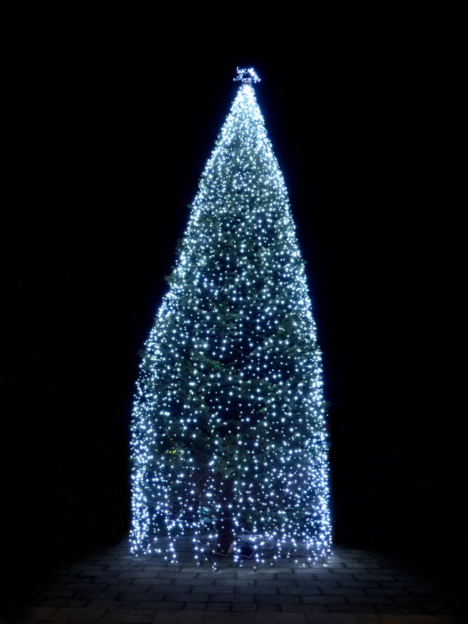 Liught For A Life Christmas Tree