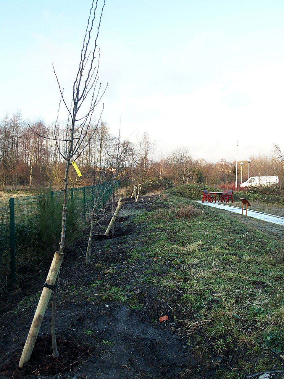 OLYMPUS DIGITAL CAMERA